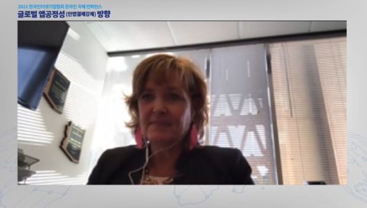 레지나 콥 미국 애리조나주 하원 예결위원장. /사진=온라인 컨퍼런스 캡쳐