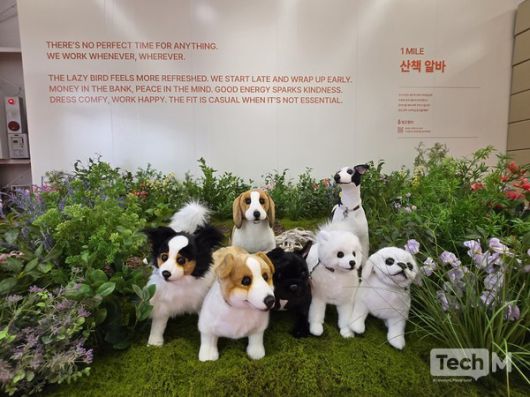 산책 알바 체험존 / 사진=배수현 기자