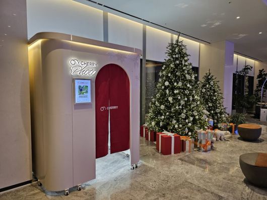 메리어트 세종에 설치된 체리포토 / 사진=체리 제공