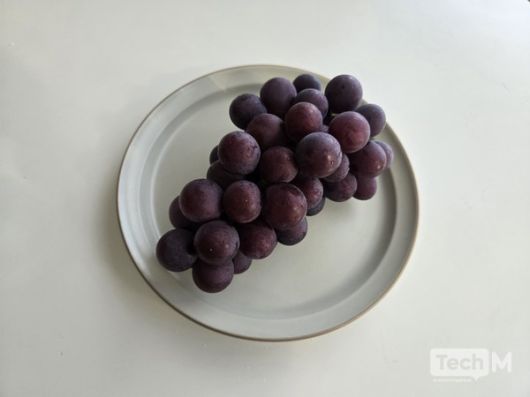 손상된 부분 없이 신선하게 도착한 거봉 / 사진=배수현 기자