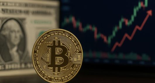 이미지=픽사베이