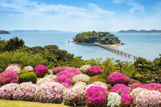 KKday에서 일본 지역별 프로모션을 진행한다. / 사진=KKday