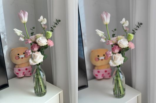 아이폰SE3(왼쪽)와 갤럭시Z플립3 인물모드로 촬영한 사진 [사진=서민지 기자]