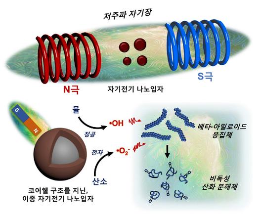 아이뉴스24