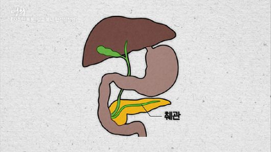 췌장은 소화 흡수를 돕고 혈당을 조절하는 역할을 한다. [사진=EBS]