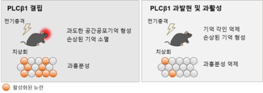 아이뉴스24