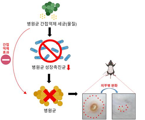 아이뉴스24