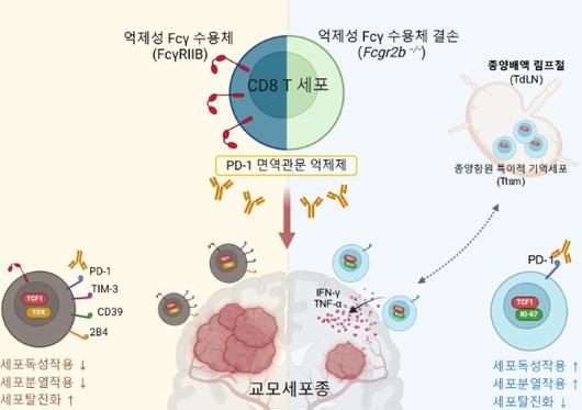 아이뉴스24