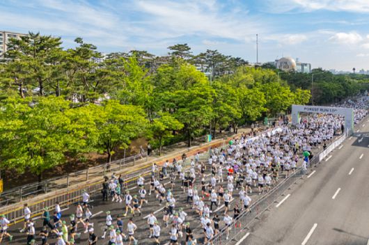 '파이널 런' 참가자들이 서울 여의도 일대를 달리는 모습. [사진=현대자동차]