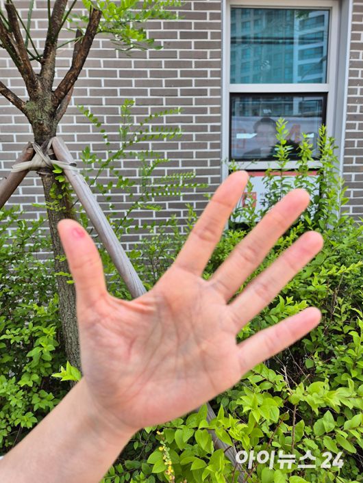 한 유권자가 제21대 대통령선거 사전투표 2일차인 30일 서울 영등포구 영등포동 사전투표소 앞에서 손에 찍은 투표도장을 기자에게 보여주고 있다. [사진=김주훈 기자]