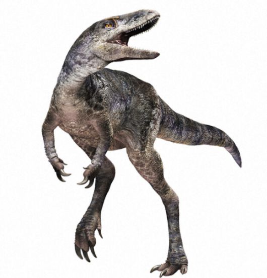 이 같은 발견으로 인해 티라노사우루스의 기원이 북미가 아닌, 아시아라는 가능성이 제기됐다. 사진은 티라노사우루스 신종 '칸쿠우루우'의 복원도. [사진=마이니치신문]