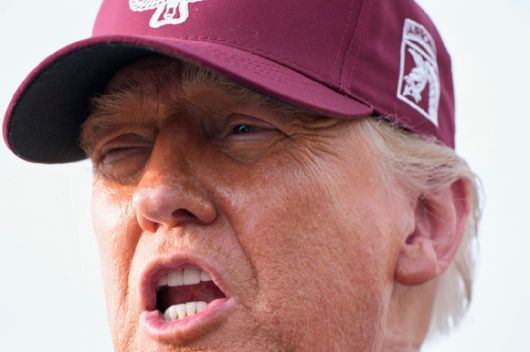 도널드 트럼프 미국 대통령은 '골드카드' 정책을 추진하고 있다. [사진=AP/ 연합뉴스]