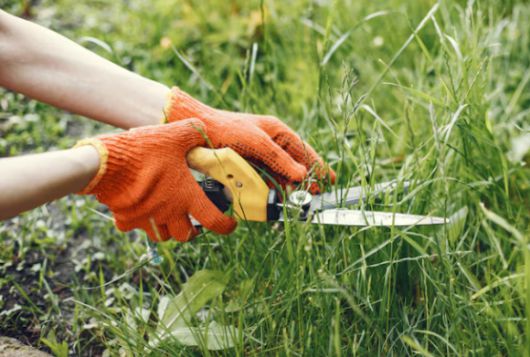 여자 친구의 체모 관리 문제로 고민에 빠진 남성의 사연이 알려졌다. 사진은 본 기사 내용과 무관. [사진=Freepik]