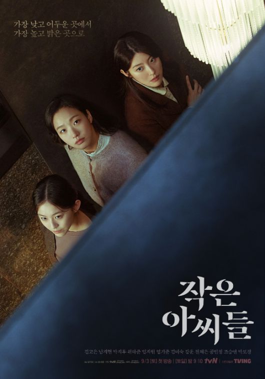 '작은 아씨들' 포스터 [사진=tvN]