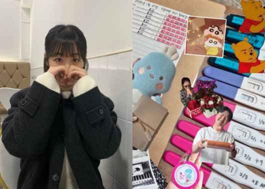 박보미가 둘째 임신 소식을 알렸다. [사진=박보미 SNS]