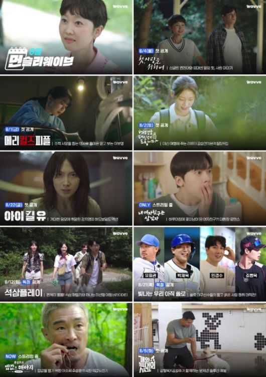 먼슬리 웨이브 [사진=웨이브 ]