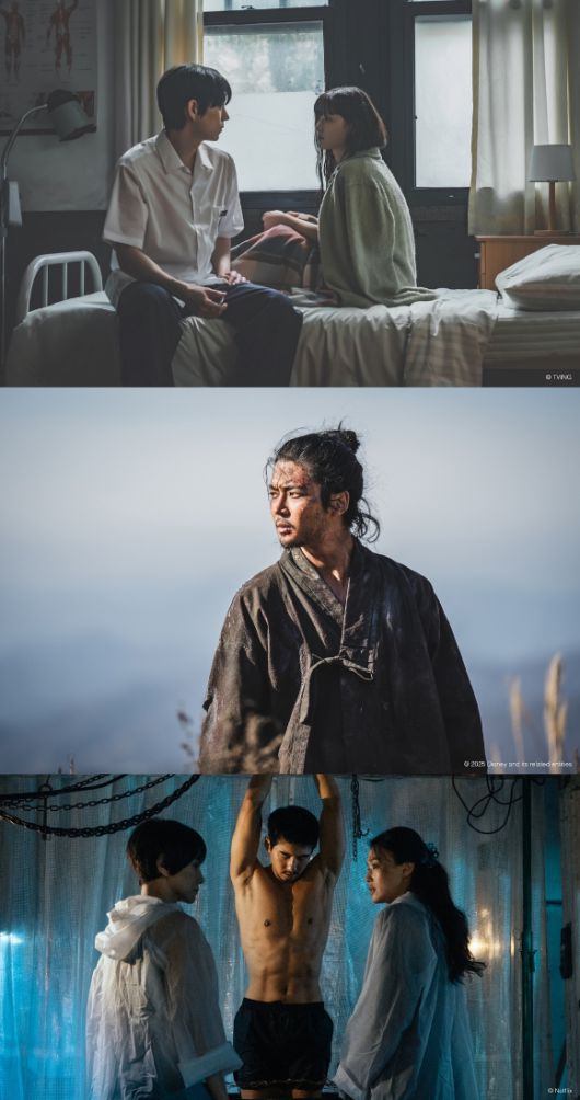 부산국제영화제 '온 스크린' 섹션 [사진=티빙, 디즈니+, 넷플릭스,]