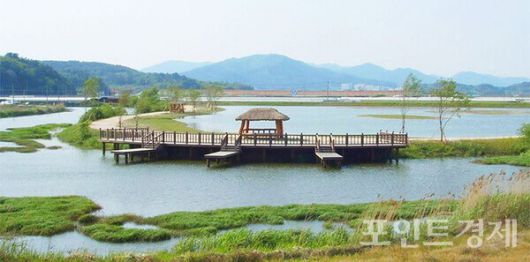 순천문학관 인근 부지가 절강 습지로 복원된 모습으로 생태적 가치를 뽐내고 있다. ⓒ순천시 (포인트경제)