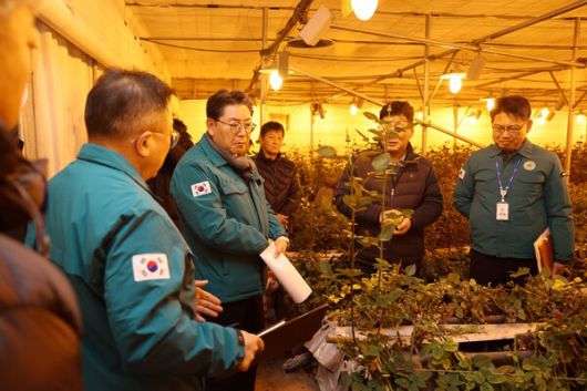 홍태용 김해시장이 지난 22일 한파와 화재 피해 예방을 위해 시설하우스 농가를 찾아 현장을 점검하고 있다. /김해시청