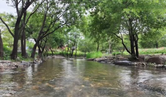 국가정원 개울가