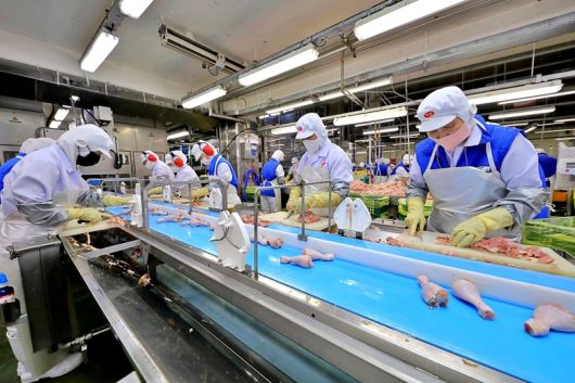 하림 익산공장 현장 직원들이 초복을 앞두고 부분육 정선·발골 작업을 하고 있는 모습. 사진ㅣ하림