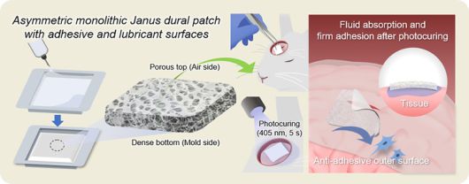 부산대 양승윤 교수 연구 이미지ㅣ부산대학교