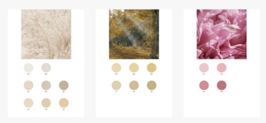 그린웨어의 premium natural color(이미지=그린웨어 제공)