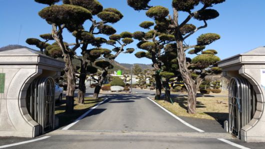전남 영광군 백수초등학교. 한 때 학생수가 1000여명에 달했지만, 지금은 주변학교들과 통합해 전교생 41명이다