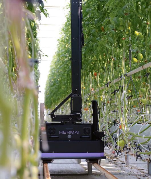 헤르마이 예찰로봇 (사진=아이오크롭스 제공)