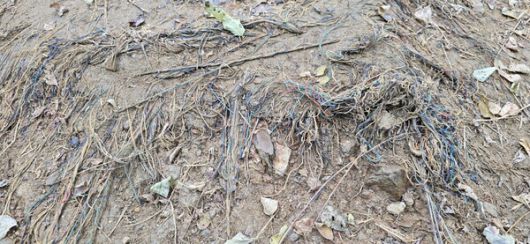 국립현충원 둘레길의 야자매트는 분해되고 합성섬유가 노출돼 산길은 걷기에 위험하고 보기에도 흉물스럽게 방치됐다.(사진=SDG뉴스)