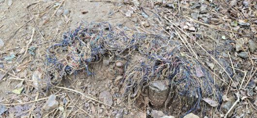 국립현충원 둘레길의 야자매트는 분해되고 합성섬유가 노출돼 산길 걷기에 위험하고 보기에도 흉물스럽게 방치됐다.(사진=SDG뉴스)