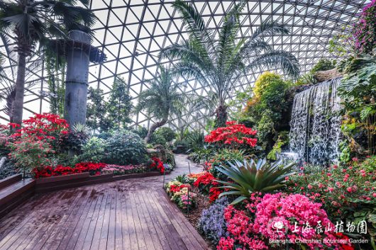 천산센터의 목표는 단순히 씨앗을 쌓아두는 것에 그치지 않는다. 저장된 종자들은 암 치료제 개발, 내성 유전자 연구, 내염성 품종 육성 등 광범위한 연구에 활용된다.