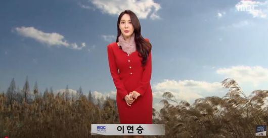 MHN스포츠