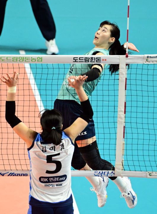 MHN스포츠