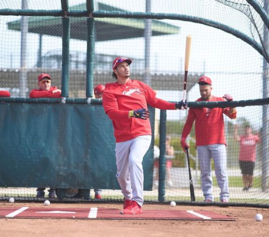 (세인트루이스 시절의 아레나도)