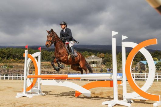 승용마가 경주를 벌이고 있다.(사진 한국마사회 제공)