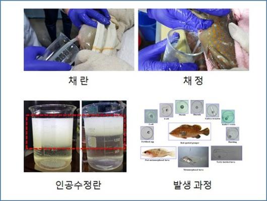 파이낸셜뉴스