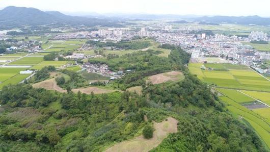 파이낸셜뉴스