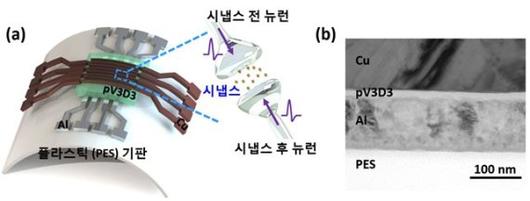 파이낸셜뉴스