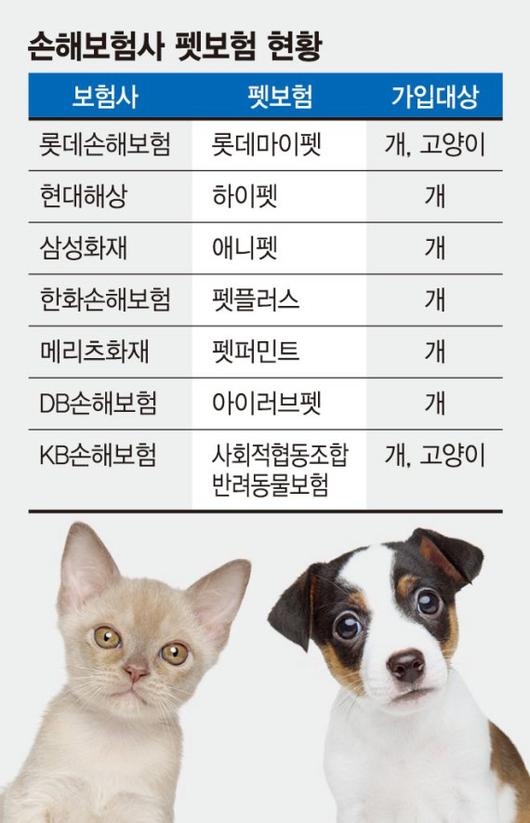 파이낸셜뉴스