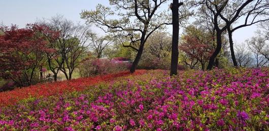 파이낸셜뉴스