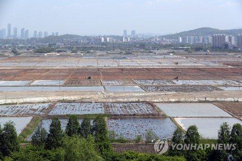 파이낸셜뉴스