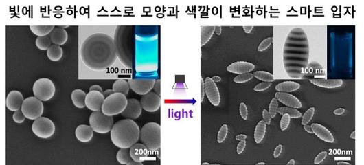 파이낸셜뉴스