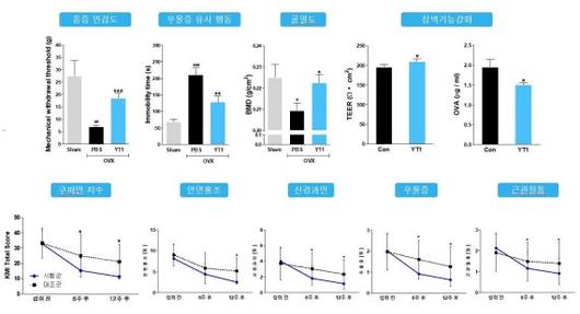 파이낸셜뉴스