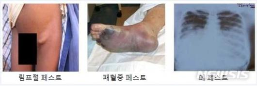 파이낸셜뉴스