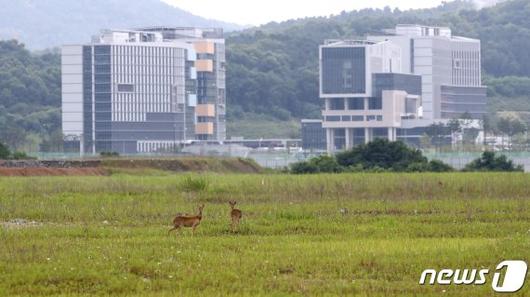 파이낸셜뉴스