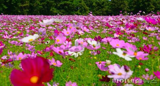 파이낸셜뉴스