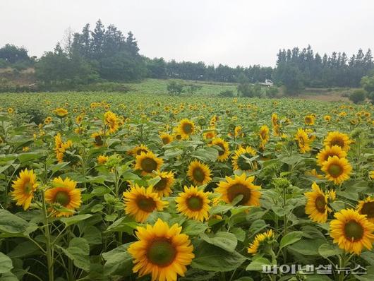 파이낸셜뉴스