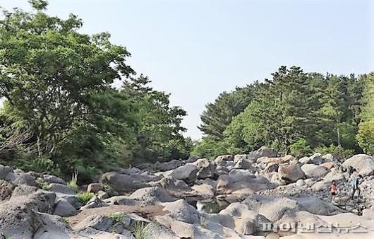 파이낸셜뉴스