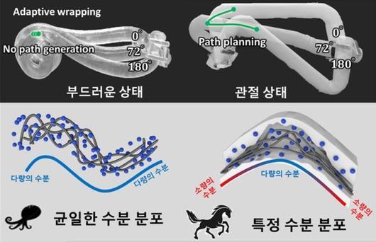 파이낸셜뉴스